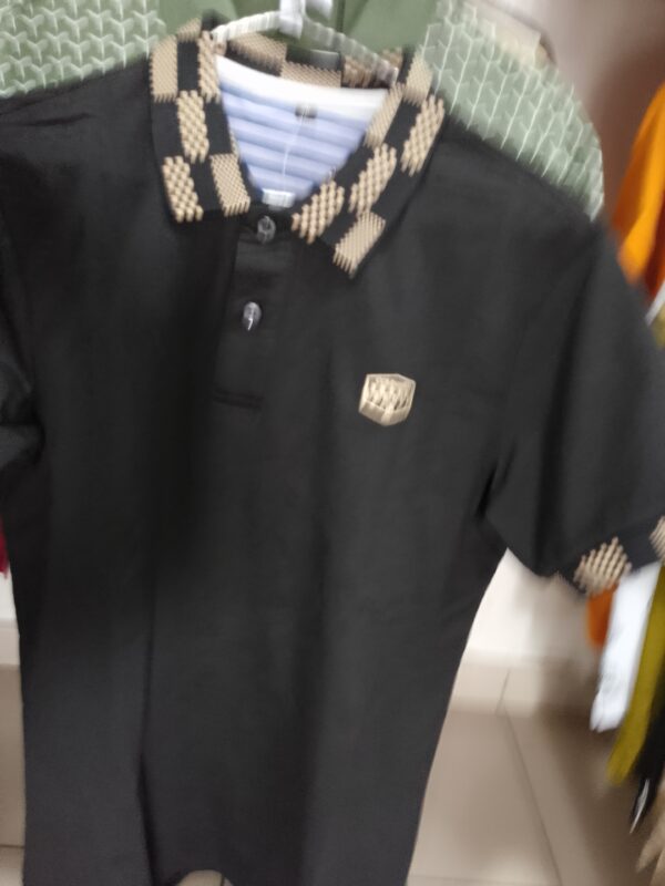 Polo – Image 2