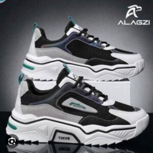 Chaussure fashion