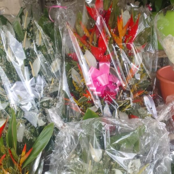 Fleure naturel