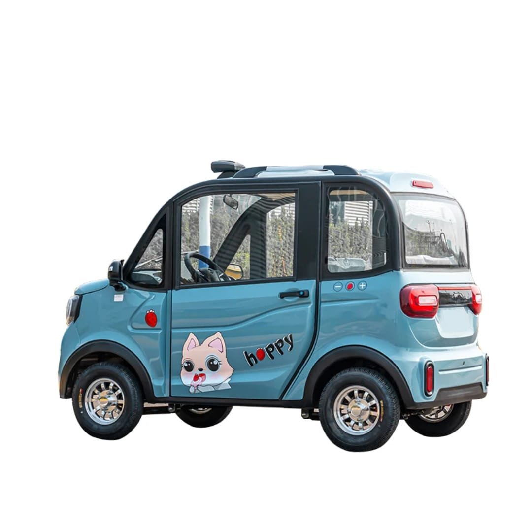 VOITURE ELECTRIQUE USINE CHINE – Image 3